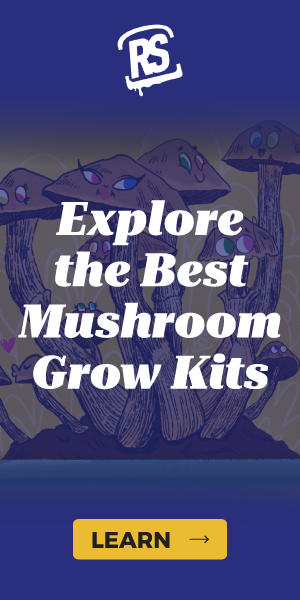 1726243 Reality Sandwich Mushroom Grow Kit