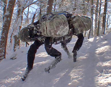 Big Dog robot snow