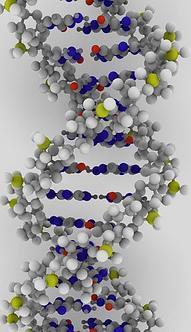 DNA