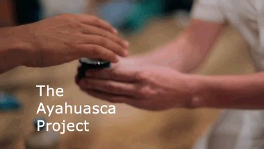 ayahuascaprojectLARGE