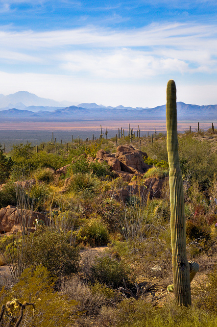 A Sorcerer's Corner: Carlos Castaneda's Doomed Romance with Knowledge ...