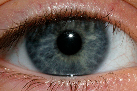 eye