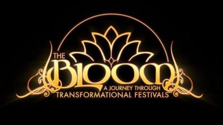 temp bloom festivals