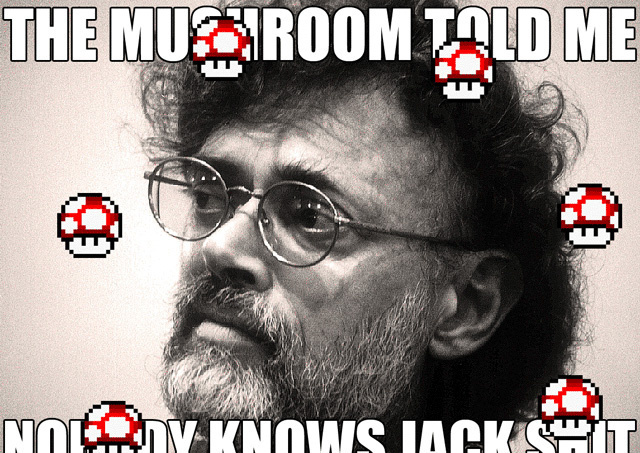 VICE Discovers Terence McKenna! 1 221132 TerenceMcKenna1 vice 670