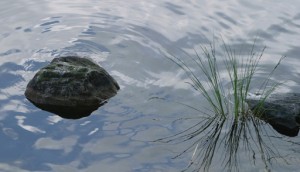 Healing-River-acupuncture-steveston