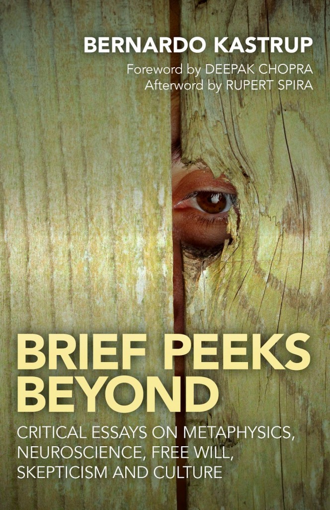 Brief Peeks Beyond Front Cover