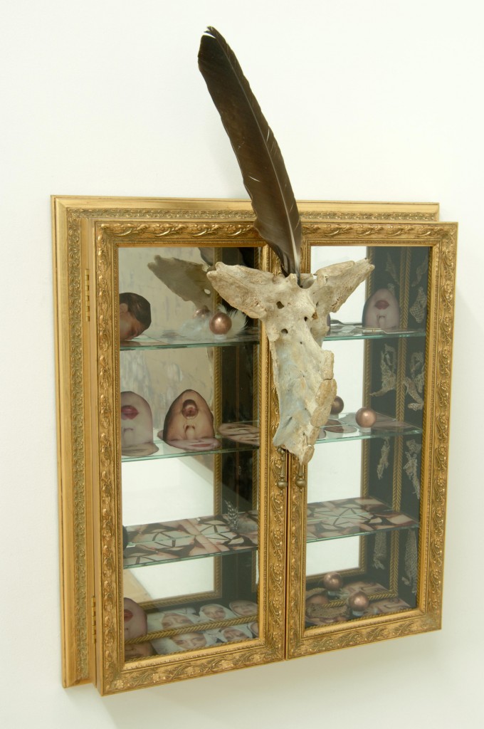 Medicine Chest (2005), Mixed media ,25.5 x 22 x 8.5 inches 