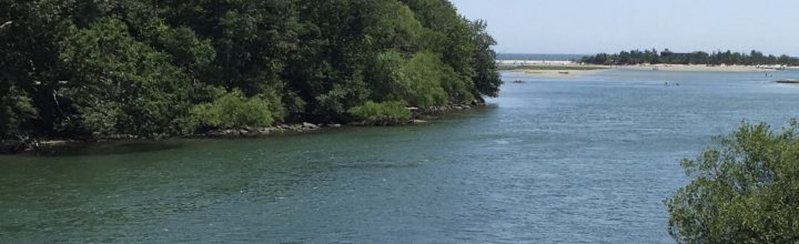 NarrowRiver