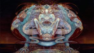 Amazonian Perspectives on Invisible Entities, DMT Entities