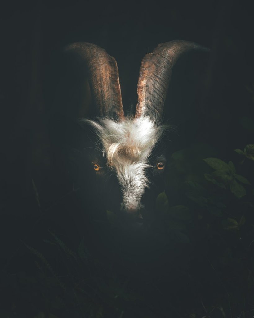 rob potter virginia rosenberg asheville astrology intuitive capricorn