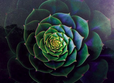 Sacred Futurism: Radical Enchantment 10 Screen Shot 2019 03 03 at 10.31.12 PM