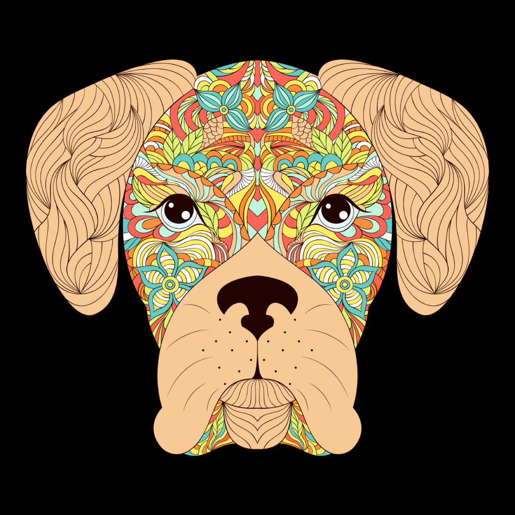 Giving Dogs Psychedelics: Practices in Indigenous Tribes