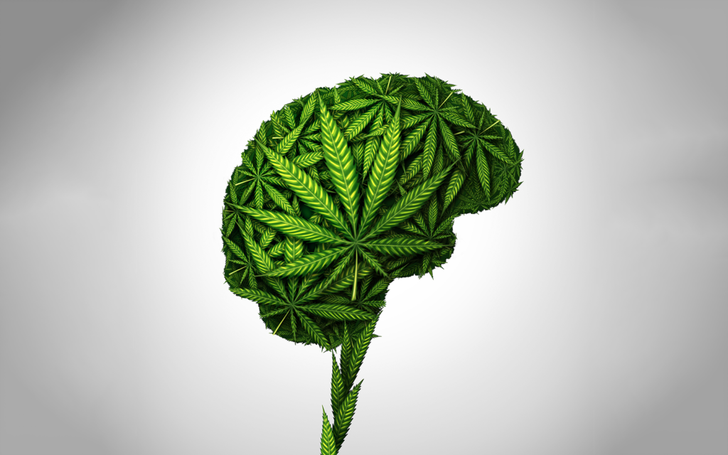 Cannabis Research Explains Sociability Behaviors