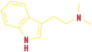 DMT PNG MOLECULE