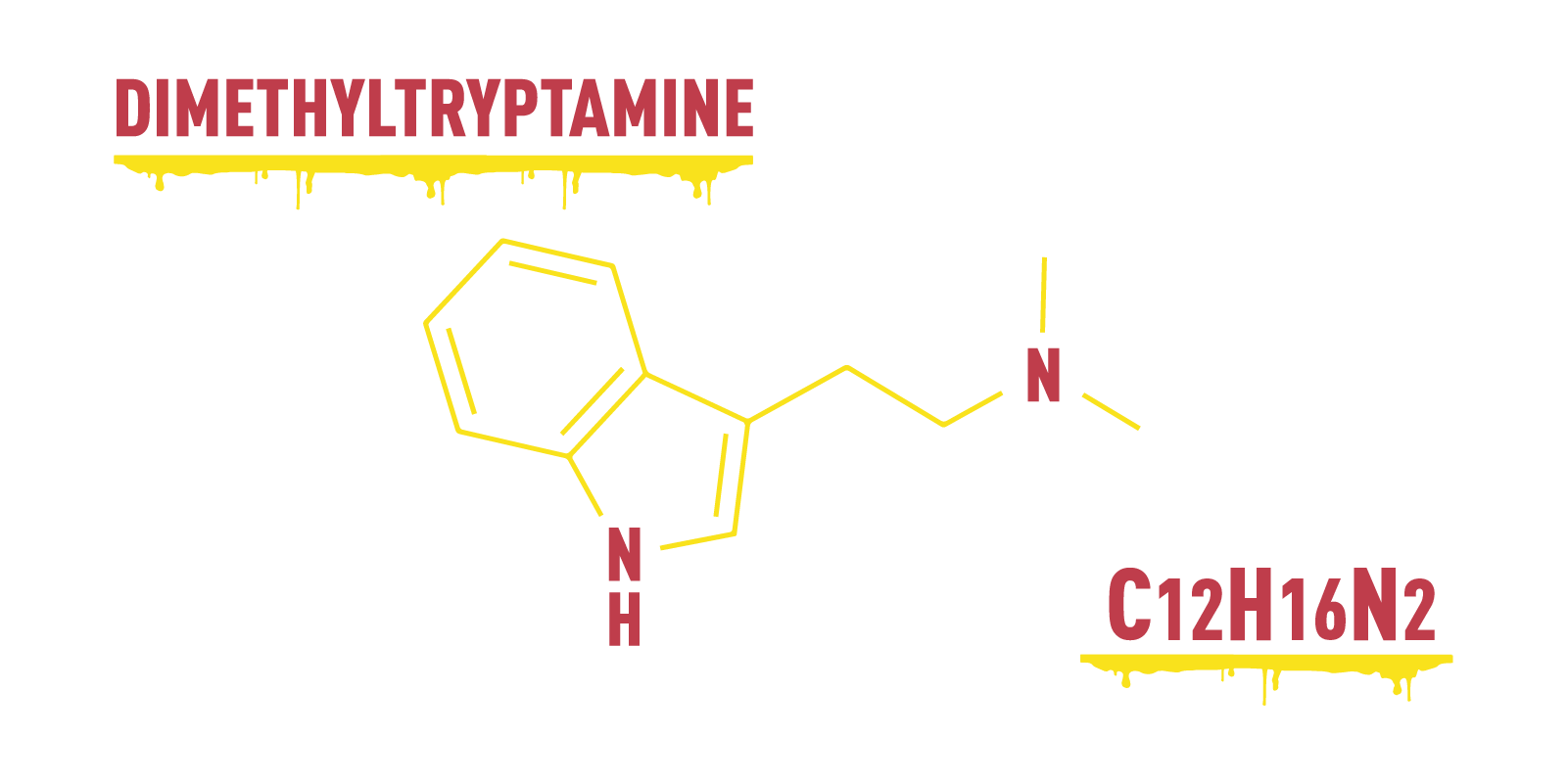 DMT Substance Guide: Effects, Common Uses, Safety