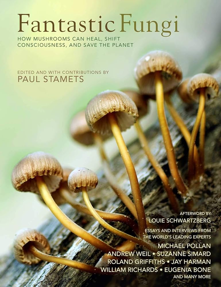 Fantastic Fungi Expanding Consciousness Alternative Healing Environmental Impact