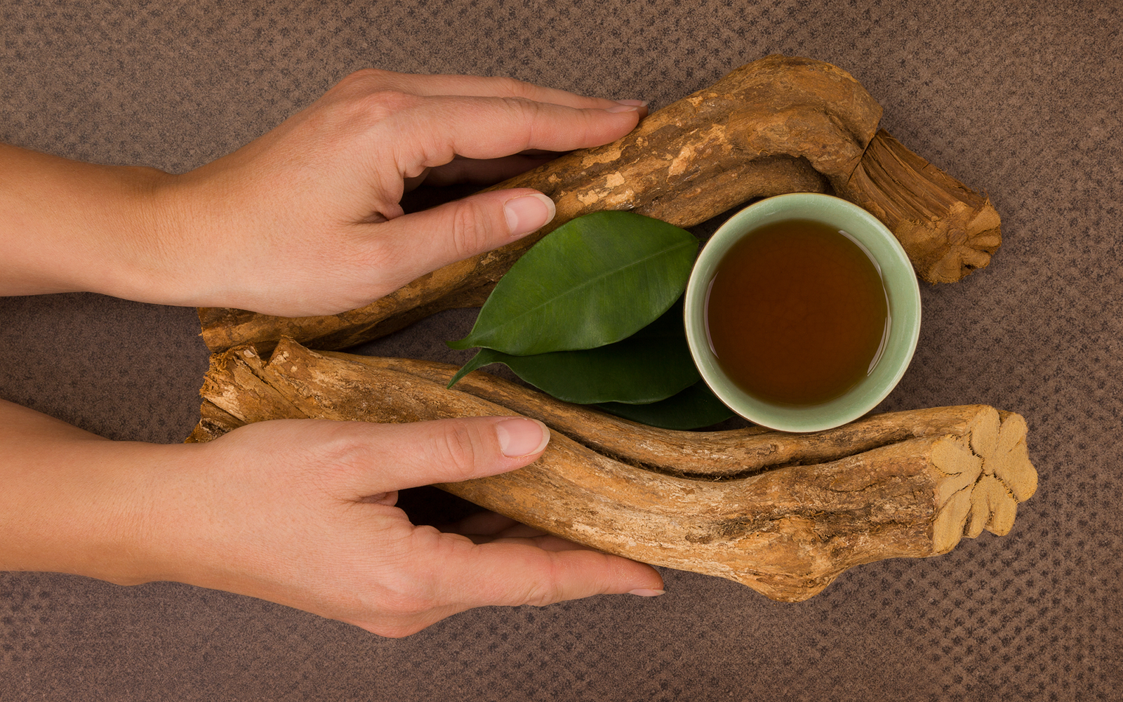 Ayahuasca and the Feminine: Women's Roles, Healing, Retreats, and More