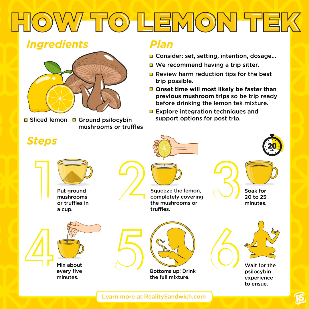 How-To Lemon Tek: Ultimate Guide and Recipe | Reality Sandwich