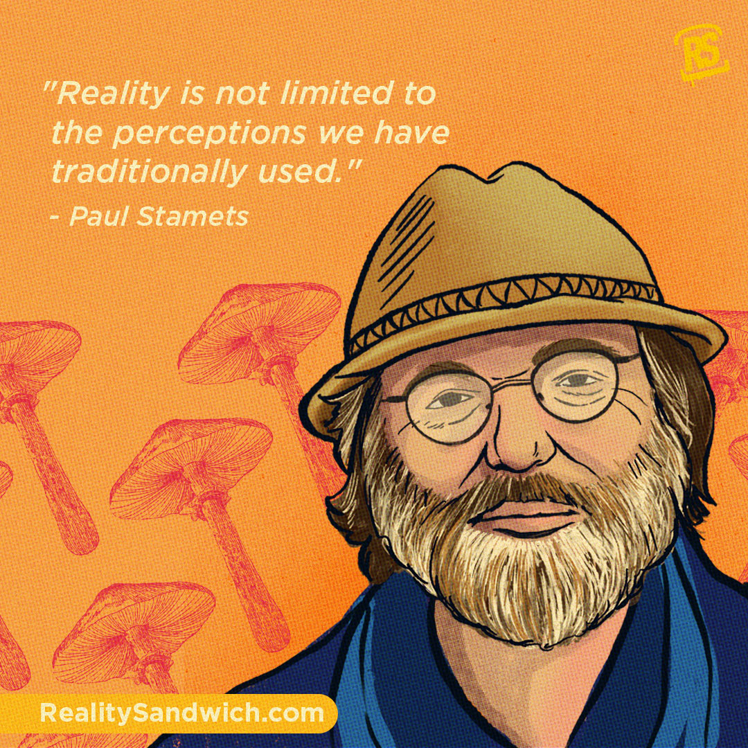 Paul Stamets Profile Mushroom Guru, Filmmaker, Nutritionist, Scientist