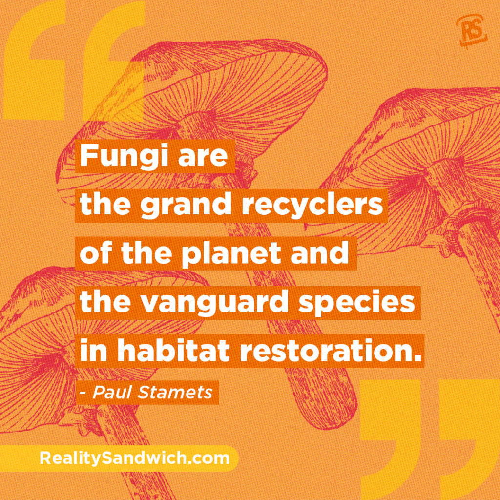 Paul_Stamets_quote_4