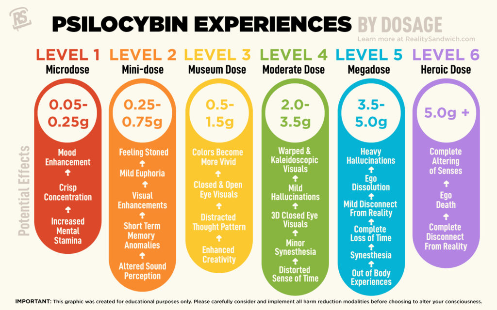 microdosing psilocybin infographic