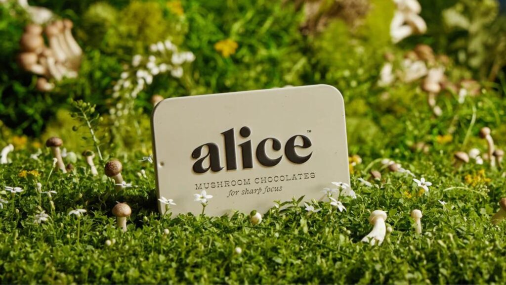 Harnessing the Power of Functional Mushrooms with Alice Mushrooms 3 RS Alice Mushrooms 001