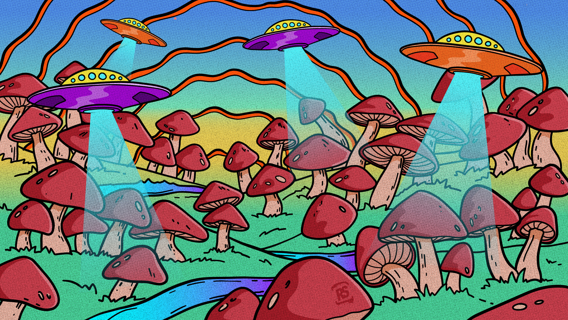 flying saucer mushrooms
