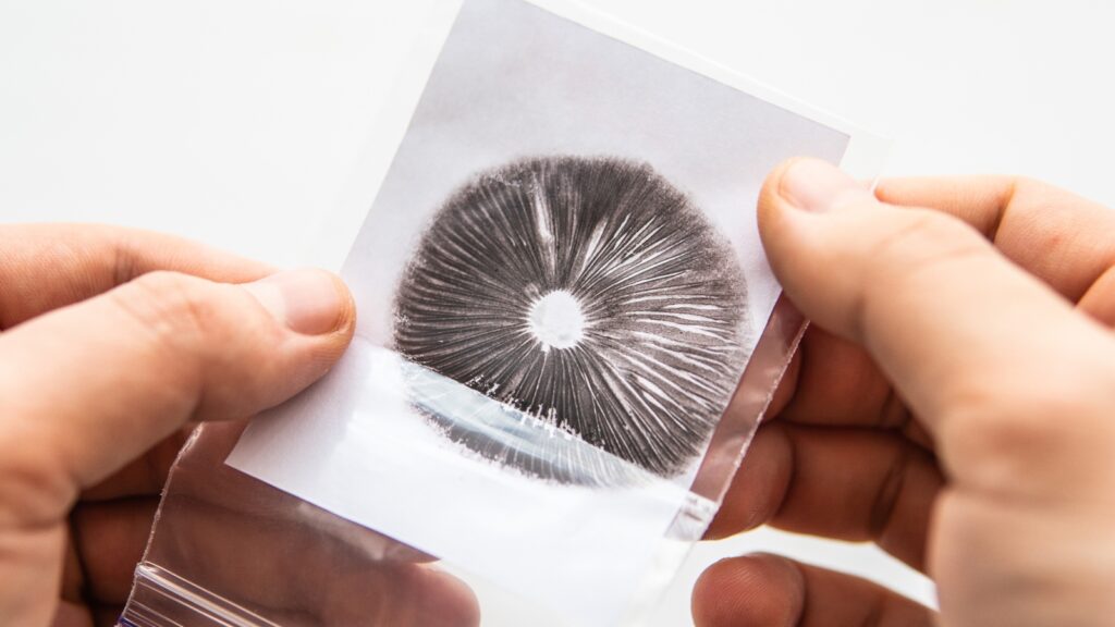 RS How to Take a Spore Print 1