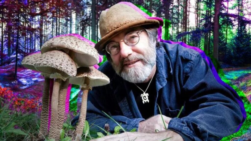 Paul Stamets Honored With New Magic Mushroom Species: Psilocybe Stametsii 3 psilocybe stametsii