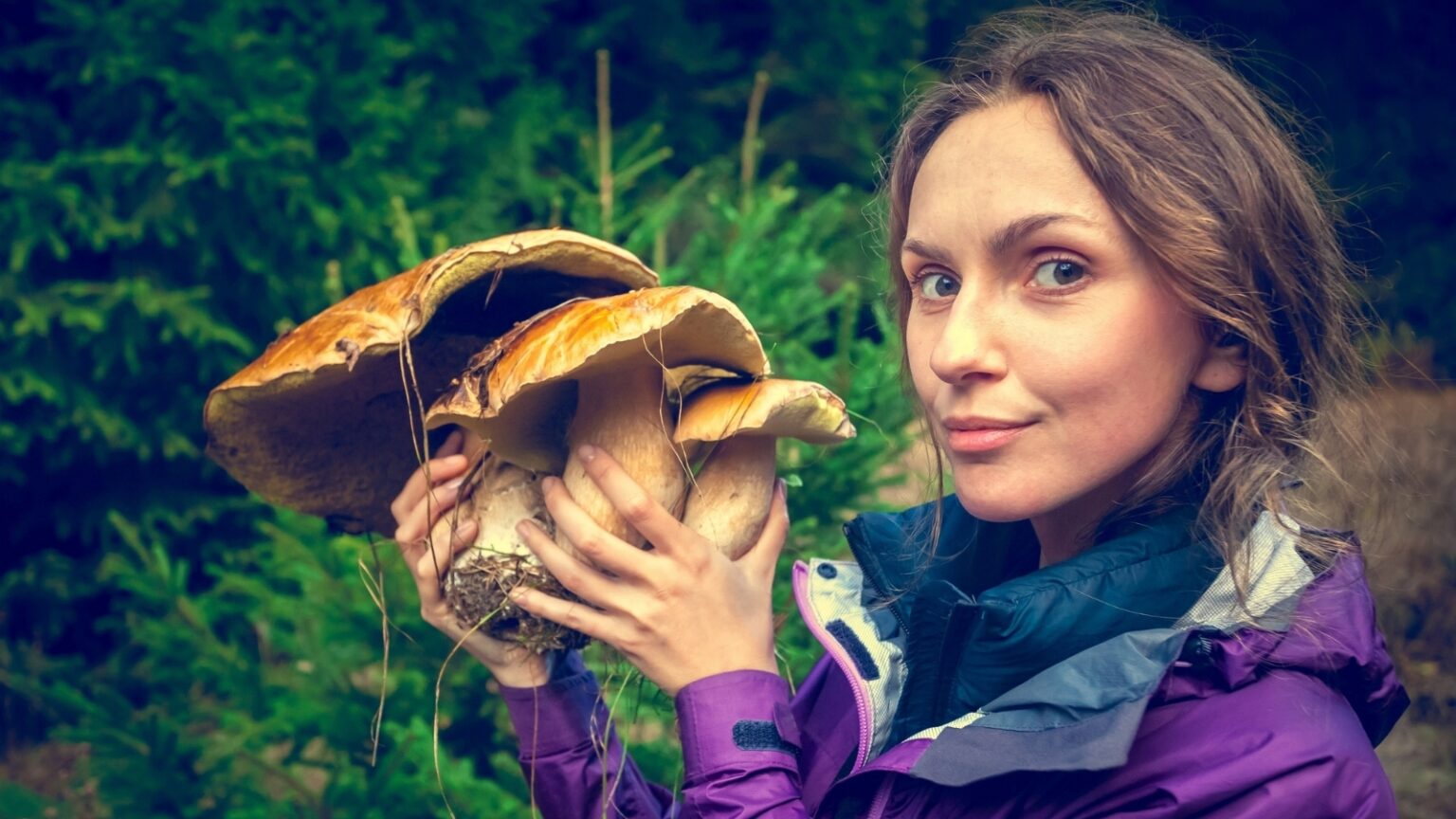 The Ultimate Guide to Mushroom Foraging