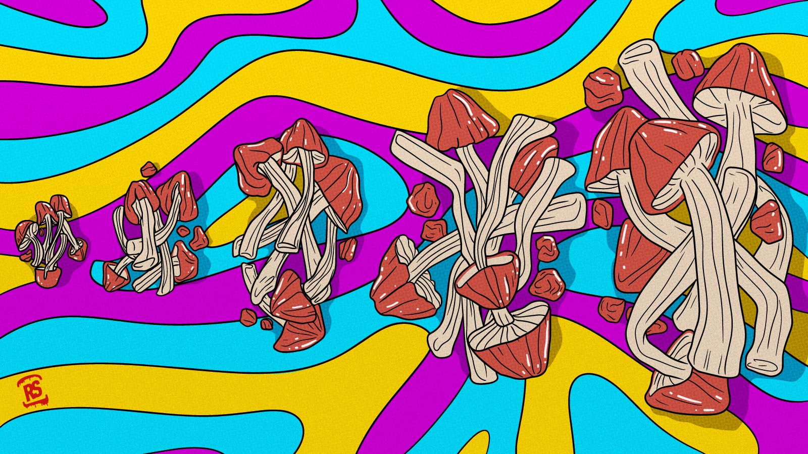 Magic Mushroom Dosage Guide: Microdosing to Heroic Doses