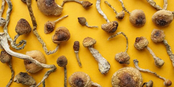 Magic Mushroom Dosage Guide: Microdosing to Heroic Doses