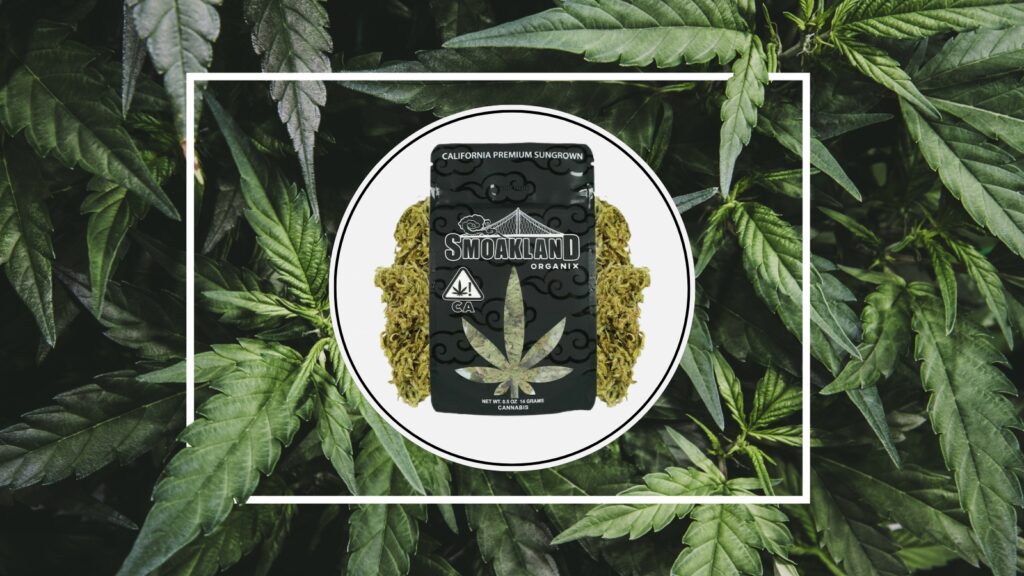 What You Need to Know About Getting Weed Delivered in California 9 Smoakland 001