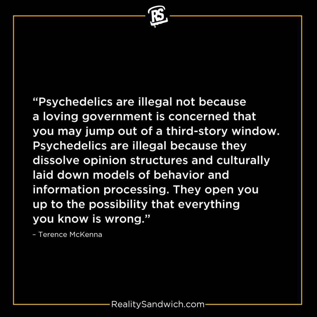 TERENCE_MCKENNA_QUOTE 1