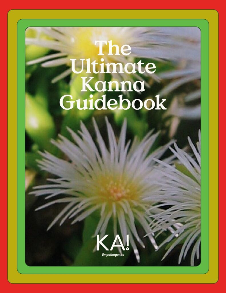 The KA Ultimate Kanna Guidebook 2 pdf 1