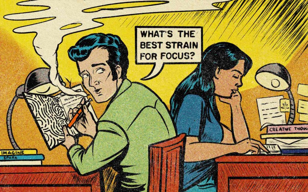 Best Strains for Productivity and Focus 2 best strains for productivity and focus