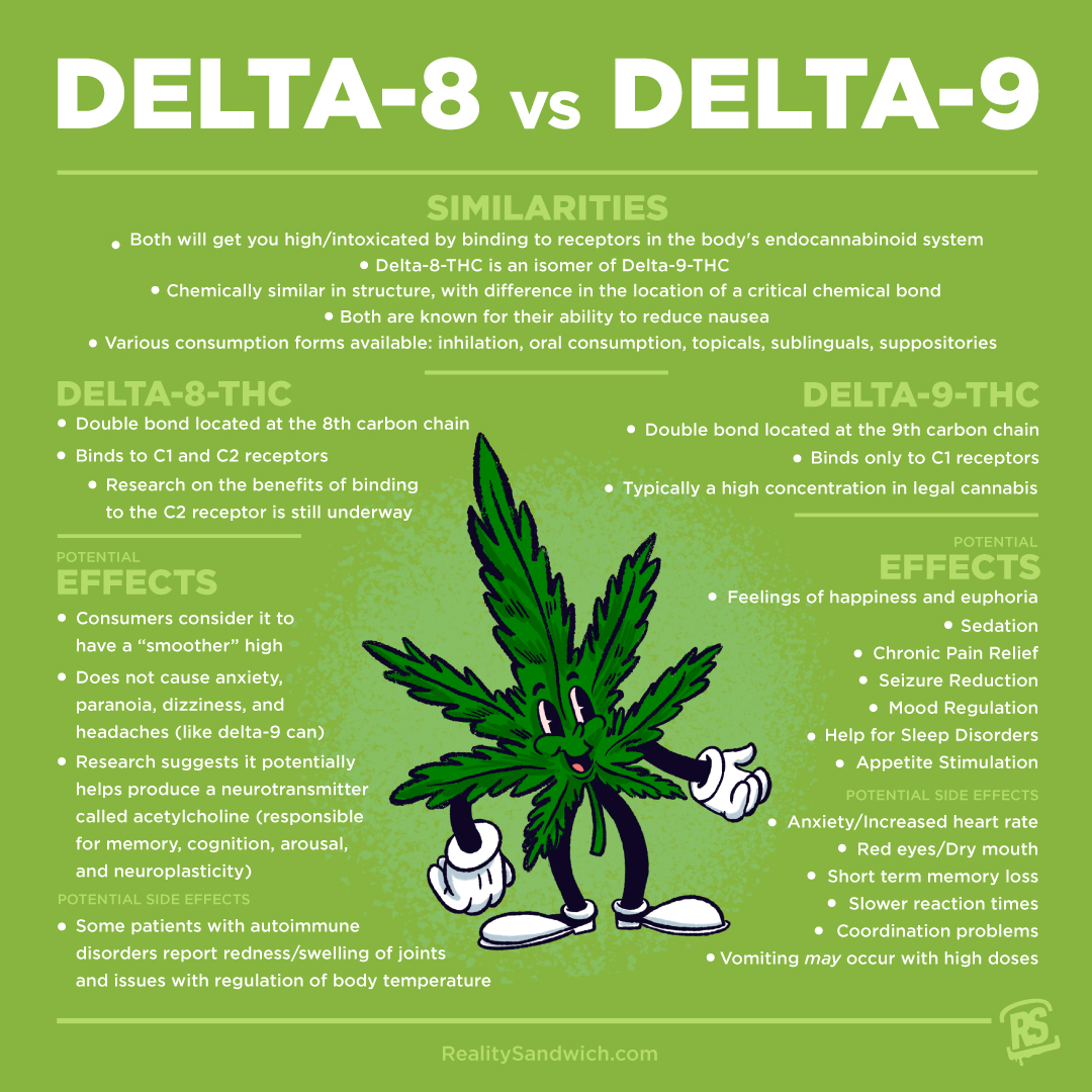 The Ultimate Guide to Delta-8-THC | Reality Sandwich