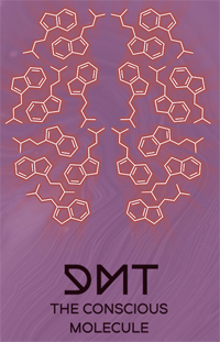 dmt the spirit molecule