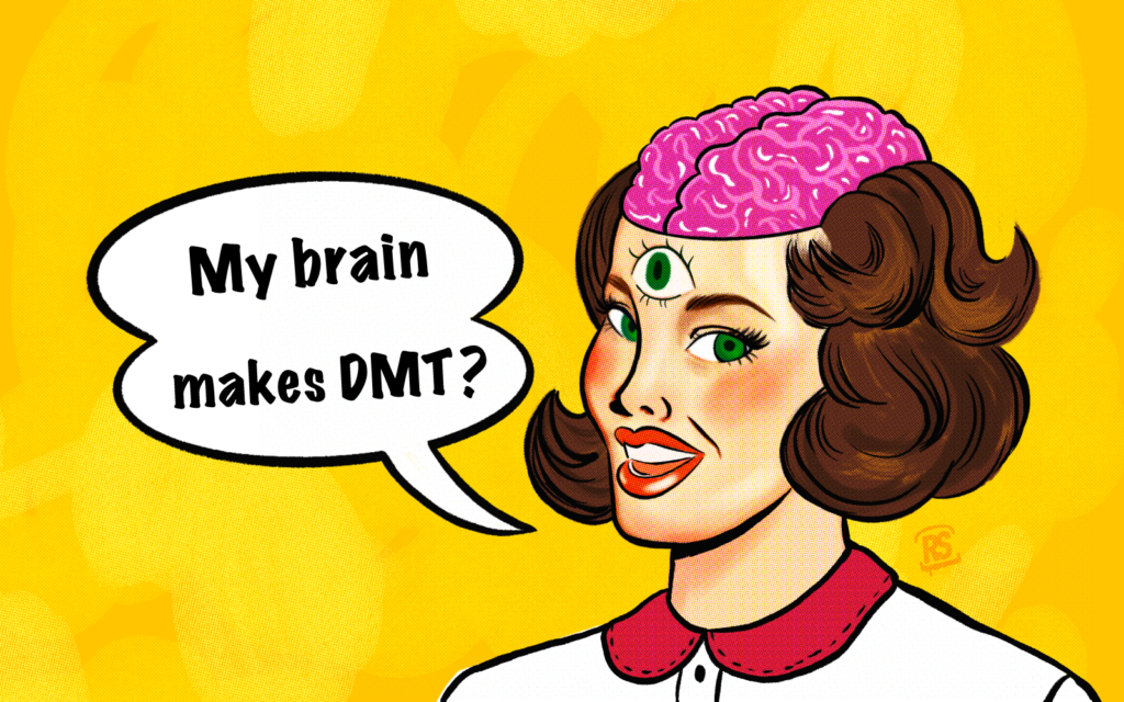 Does the human brain make DMT?