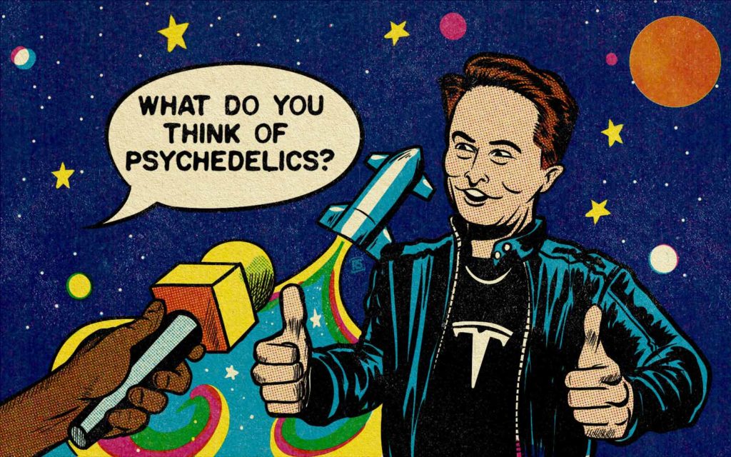 elon musk talks psychedelics