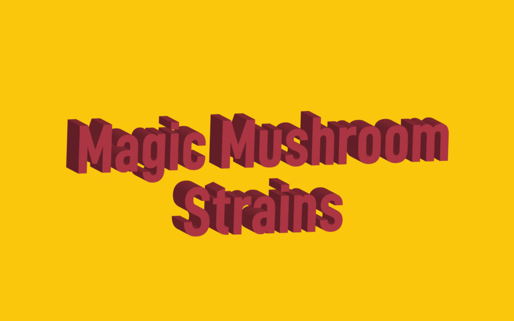 Guide to Magic Mushroom Strains Reality Sandwich