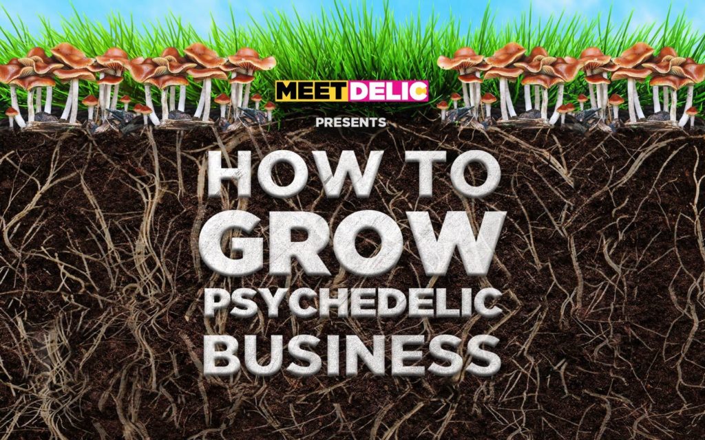 Meet Delic Presents: How To Grow Psychedelics Businesses