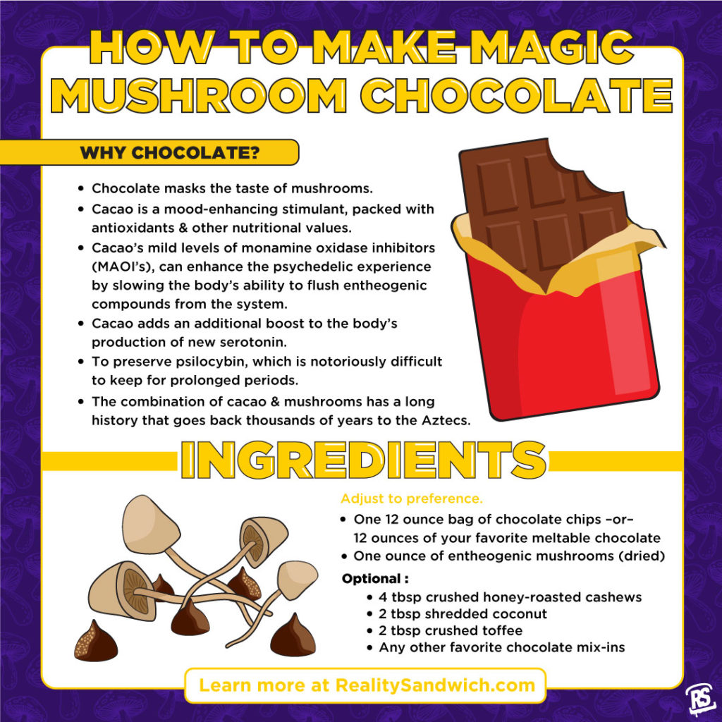 shroom chocolates infographic