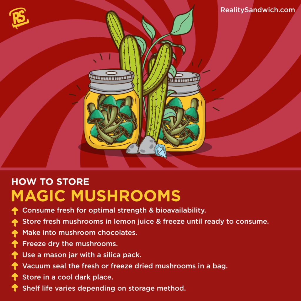 how-to-store-magic-mushrooms-infographic