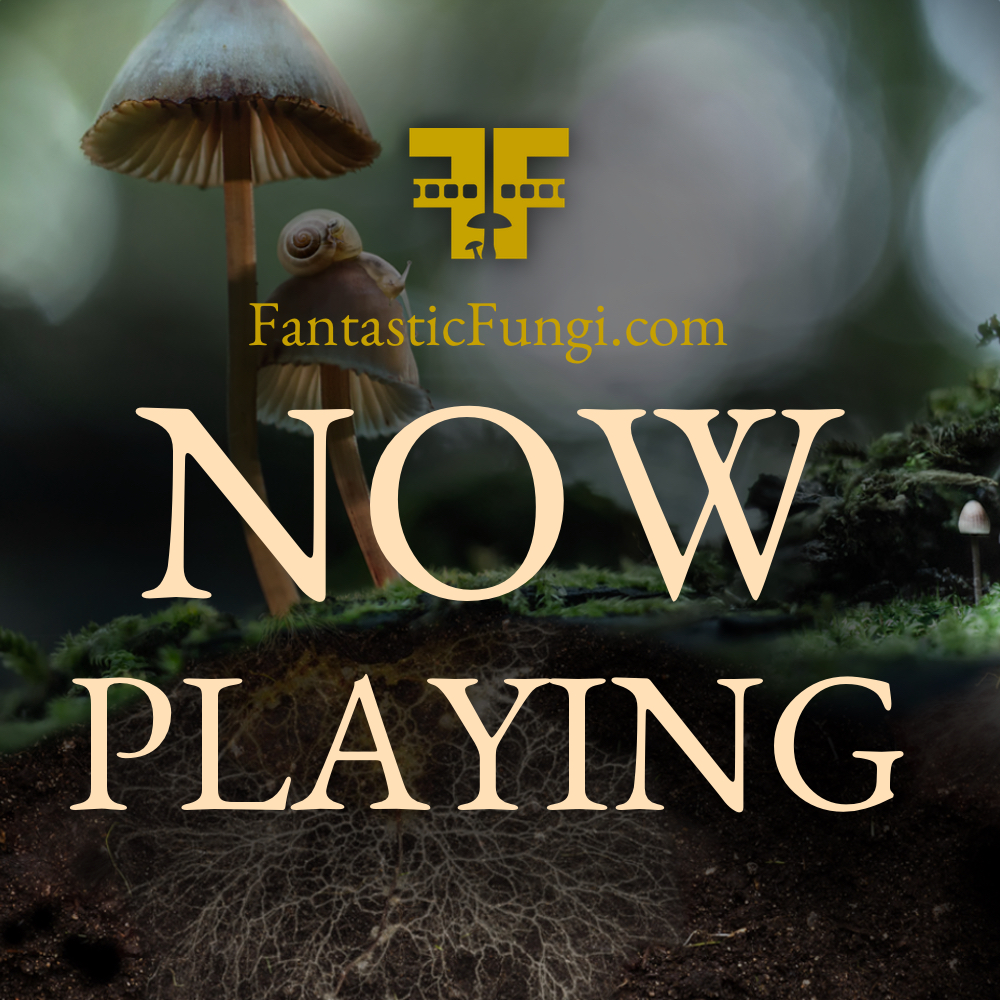 trippy movie: Fantastic Fungi now playing