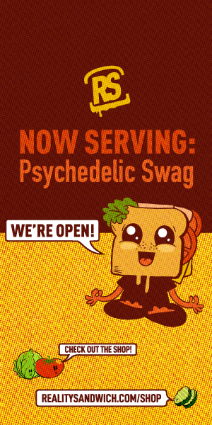 Reality Sandwich Serving Psychedelic Culture 7956