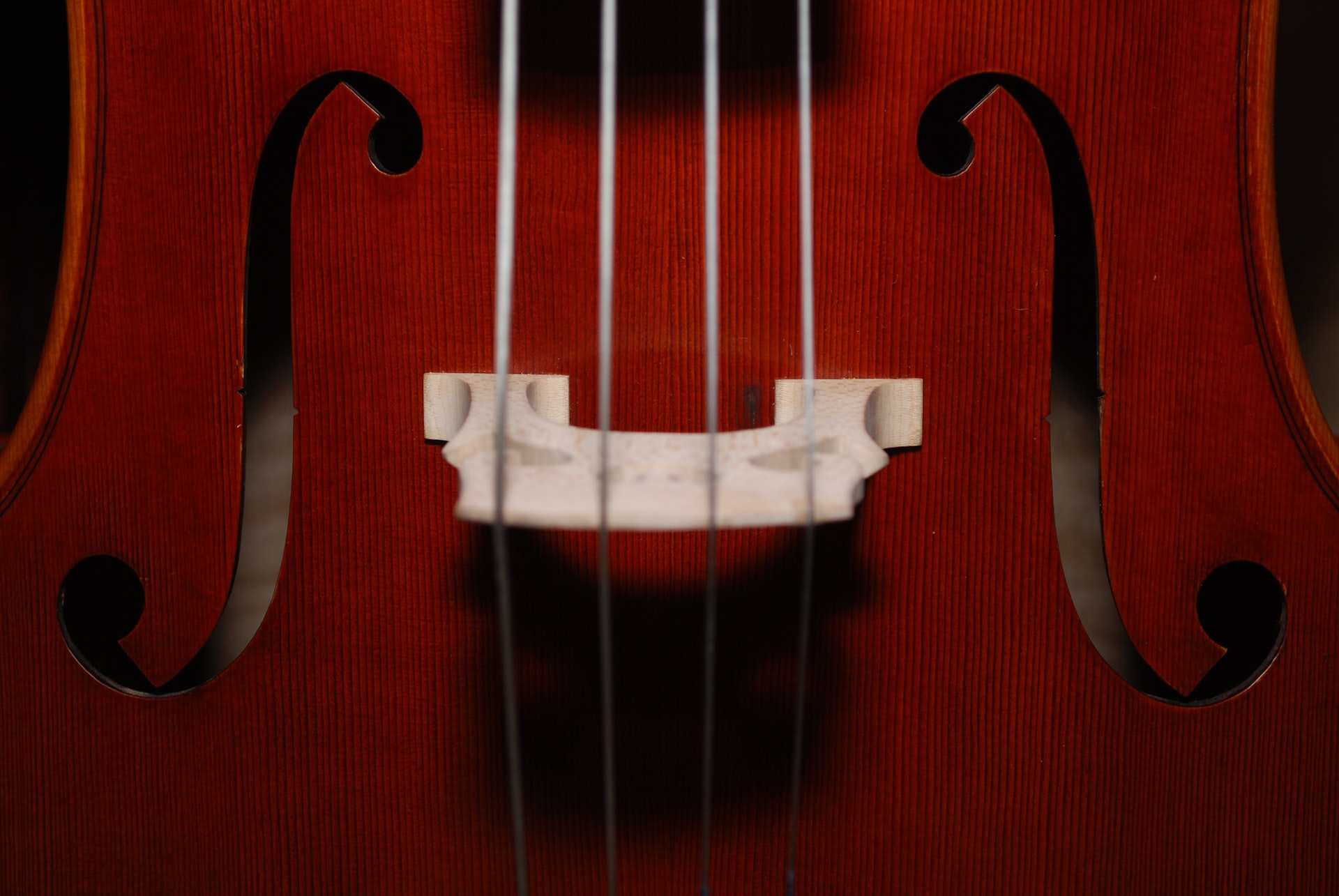The Yoga Sutras and The Red Violin